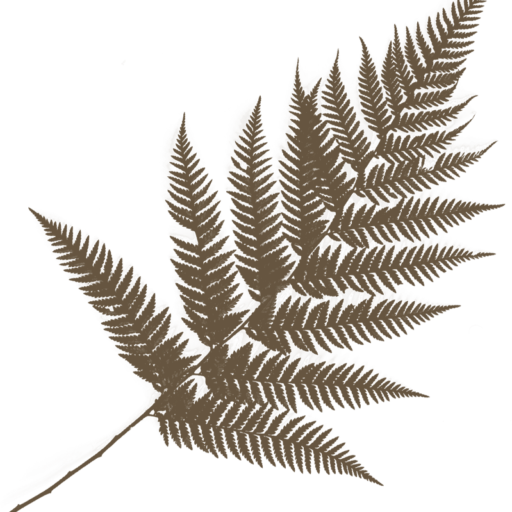 cropped-holistic-healer-42.png